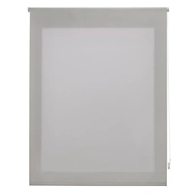 Abbildung von Decorblind Transparentes Rollo, einfarbig, Maße Rollo: 120 x 250 cm, Breite Länge/Maße Stoff, 117 245 lichtdurchlässiges Silber, einfache Montage an Wand oder Decke