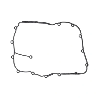 Abbildung von REINZ 71 36053 00 Ventildeckeldichtung AUDI: A4 B7 Avant, B6 A6 C6 Avant