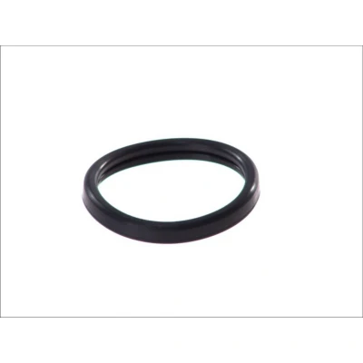 Abbildung von TOPRAN 302 261 Dichtung, Thermostat FORD: FIESTA 5, Focus 2 Schrägheck, Kombi, VOLVO: S40 II