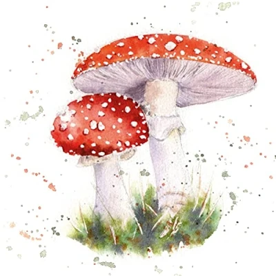 Abbildung von Painted fly agaric
