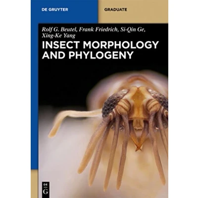 Abbildung von Insect Morphology and Phylogeny: A Textbook For Students Of Entomology (De Gruyter Textbook)