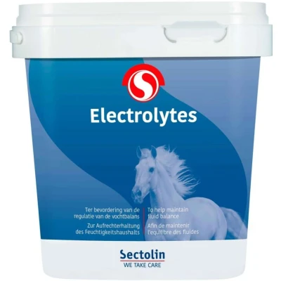 Abbildung von Sectolin Equivital Electrolyten