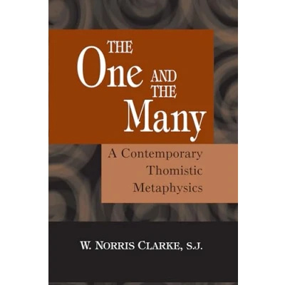 Abbildung von the One and Many: A Contemporary Thomistic Metaphysics