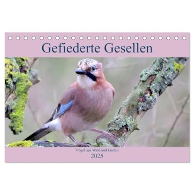 Abbildung von Gefiederte Gesellen Vögel aus Wald und Garten (Tischkalender 2025 DIN A5 quer), CALVENDO Monatskalender