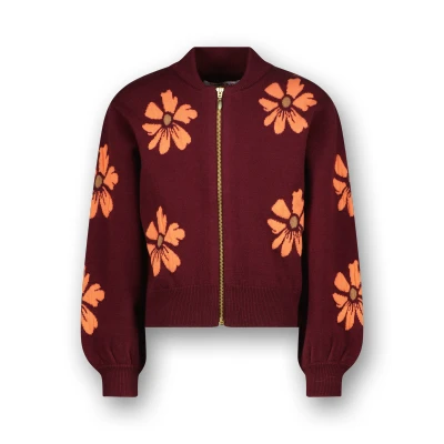 Abbildung von Vingino Maniek Strickjacke für Kinder, Größe: 140, Red wine