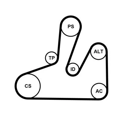 Abbildung von CONTITECH 6PK1740K4 Keilrippenriemensatz PEUGEOT: 807, 607 Limousine, 406 CITROËN: C8, C5 II Schrägheck