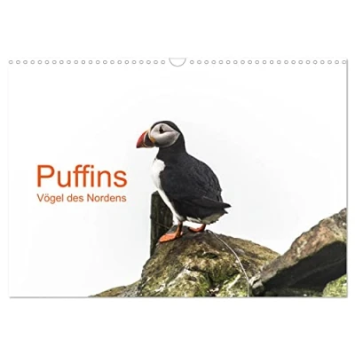 Abbildung von Puffins Vögel des Nordens (Wandkalender 2025 DIN A3 quer), CALVENDO Monatskalender