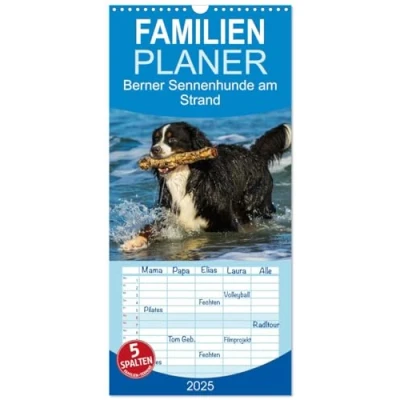 Abbildung von Familienplaner 2025 Berner Sennenhunde am Strand mit 5 Spalten (Wandkalender, 21 cm x 45 cm), CALVENDO
