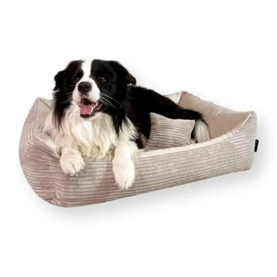 Abbildung von 4L Textil Molly Kuscheliges Cord Hundebett beige mit Bezug Hundekorb mittelgroße Hunde Hundekissen Hundekörbchen Hundesofa (80x60 cm, Beige)