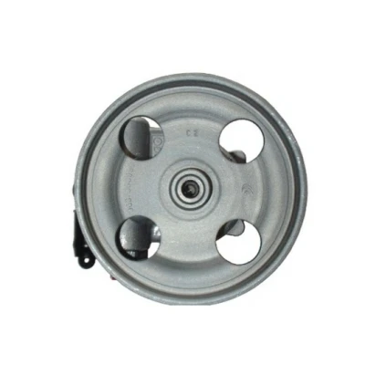 Abbildung von Hydraulische Lenkgetriebepumpe SPIDAN 0.054181