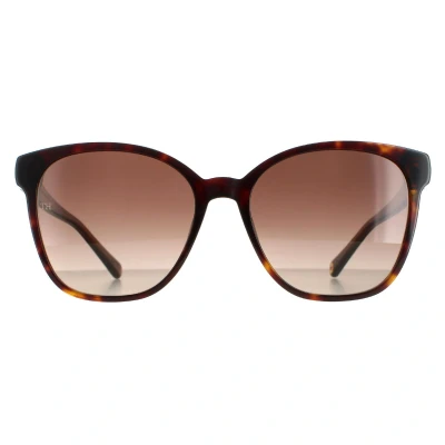 Abbildung von Tommy Hilfiger Sonnenbrillen TH 1811/S DARK HAVANA/BROWN SHADED 55/17/140 Damenbrillen