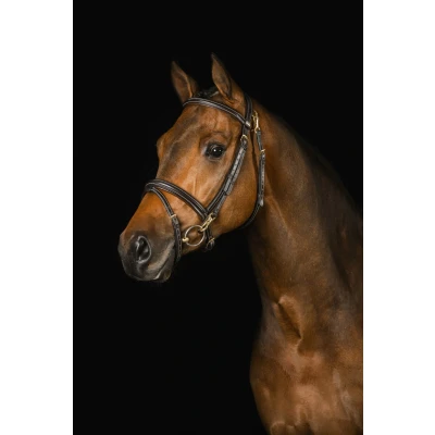 Abbildung von Mrs. Ros Zaum Ortega Deluxe Dunkelbraun Warmblut
