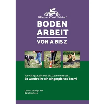 Abbildung von Bodenarbeit von A bis Z: So werdet ihr ein eingespieltes Team