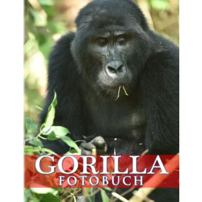 Abbildung von Gorilla Fotobuch: Erfahren Sie mehr über dieses große Tier mit 40 Fotos im Inneren Bilderbuch für Fans jeden Alters