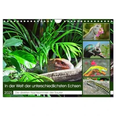 Abbildung von In der Welt unterschiedlichsten Echsen (Wandkalender 2025 DIN A4 quer), CALVENDO Monatskalender