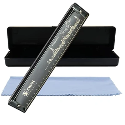 Abbildung von Mundharmonika Armonica Harmonica 24 Loch Tonart C Diatonische Polyphone Blues Professionelles Musikinstrument für Kinder Erwachsene Anfänger Geschenk