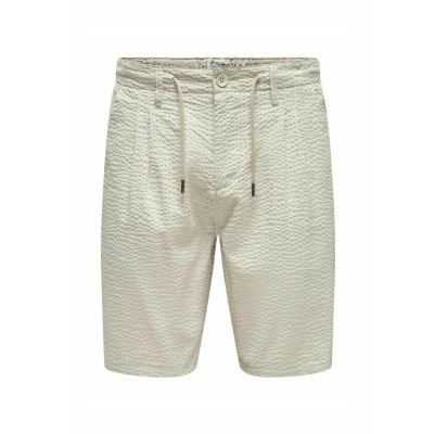 Abbildung von Only &amp; Sons Normal Geschnitten Shorts, Herren, Größe: Medium, Silver lining