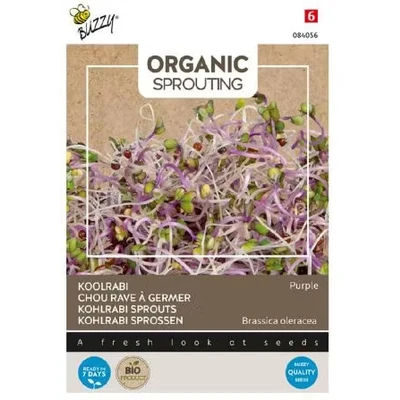 Abbildung von Bio Sprouting Kohlrabi rot (Bio) Samen Buzzy