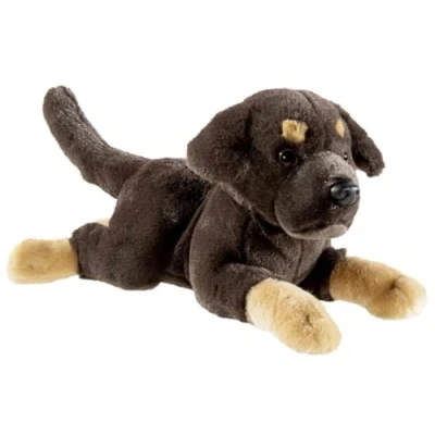 Abbildung von Heunec® Kuscheltier Puppy, Labrador liegend 30 cm