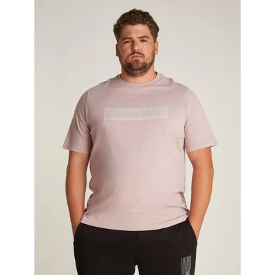 Abbildung von Calvin Klein Big&amp;Tall T Shirt &quot;BT BOX STRIPED LOGO SHIRT&quot;, in Großen Größen mit Logoschriftzug