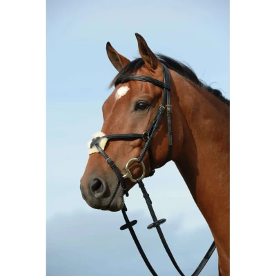 Abbildung von Collegiate Trense Syntovia+ Figure 8 Schwarz XWarmblut