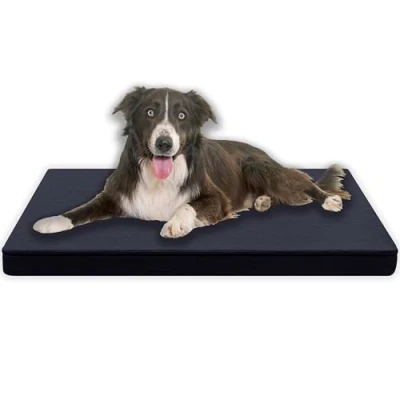 Abbildung von MyBestBuddy Hundekissen Premium orthopädisch mit 3 cm Vollschaum Kern grau 80x60 L, Hundematte Stoffbezug, 40C waschbar, allergikerfreundlich Hundebett für mittelgroße Hunde, 80 x 60