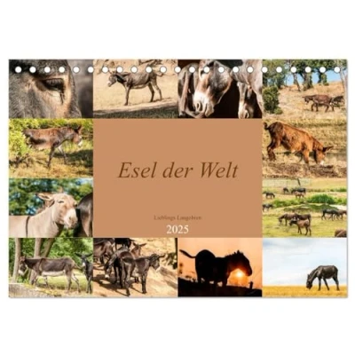 Abbildung von Esel der Welt Lieblings Langohren (Tischkalender 2025 DIN A5 quer), CALVENDO Monatskalender: Seltene Eselrassen Kulturen (CALVENDO Tiere)