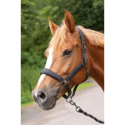 Abbildung von Harry&#039;s Horse SS25 Halsterset Denici Cavalli ShadowVerkauft von HypoStore