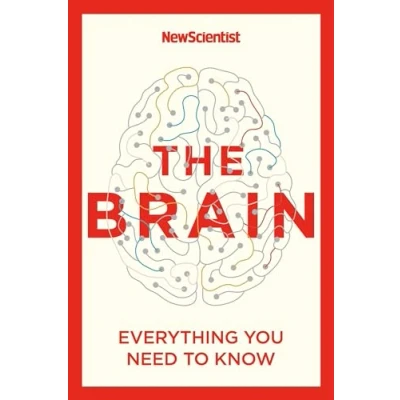 Abbildung von The Brain: Everything You Need to Know
