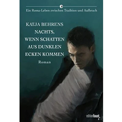 Abbildung von Nachts, wenn Schatten aus dunklen Ecken kommen: Roman. Ein Roma Leben zwischen Tradition und Aufbruch