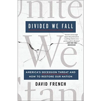 Abbildung von Divided We Fall: America&#039;s Secession Threat and How to Restore Our Nation