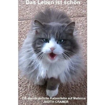 Abbildung von Das Leben ist schön: Eine abenteuerliche Katzenliebe auf Mallorca