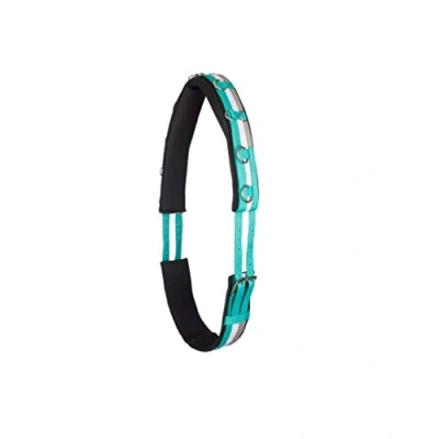 Abbildung von Imperial Riding Longiergurt Deluxe Nylon Jade Cob