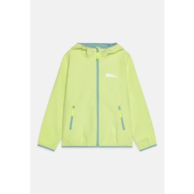 Abbildung von Jack Wolfskin Unisex Kinder Fourwinds Jacket Kids, Cool Matcha, 176