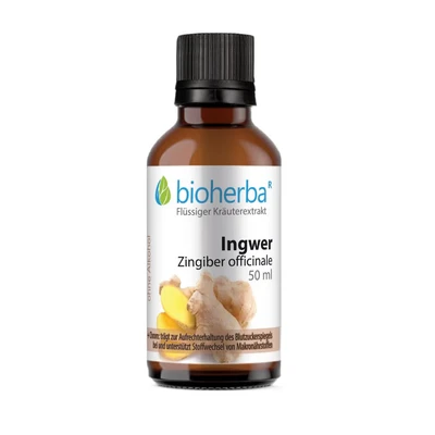 Abbildung von Ingwer 50 ml