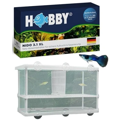 Abbildung von Hobby Nido 3.1 XL (15 x 25 14,5 cm)