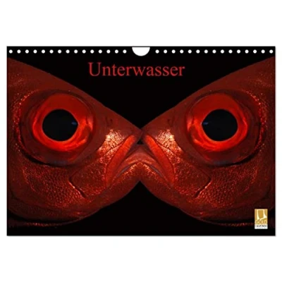 Abbildung von Unterwasser (Wandkalender 2025 DIN A4 quer), CALVENDO Monatskalender