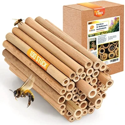 Abbildung von 200x BEESI Nisthülsen Bambus für Bienenhotel I 14 cm Länge Bambusrohr Insektenhotel Füllmaterial Wildbienen Zubehör