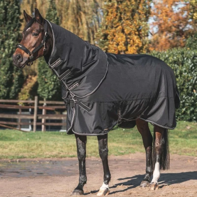 Abbildung von Back on Track Weidedecke Obsidian Turnout Decke mit Halsteil 150 g (145 cm)