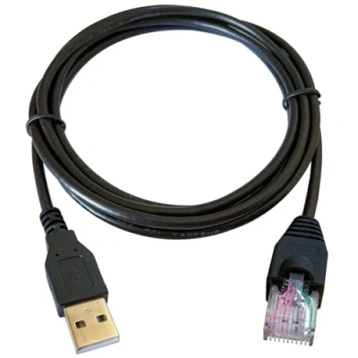 Abbildung von DSD TECH SH RJ50A USB zu RJ50 10 PIN Kabel für APC USV Geräte Äquivalent AP9827(1.8M/6FT)