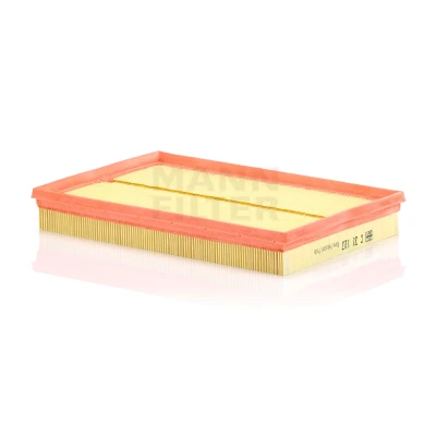 Abbildung von MANN FILTER C 31 123 Luftfilter 42 209 309 Filtereinsatz