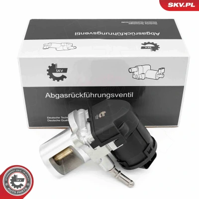 Abbildung von AGR Ventil ESEN SKV 14SKV266