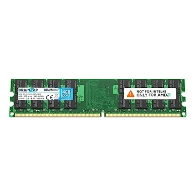 Abbildung von BRAINZAP 4GB DDR2 RAM DIMM PC2 6400U 2Rx16 800 MHz 1.8V CL6 AMD PC Arbeitsspeicher