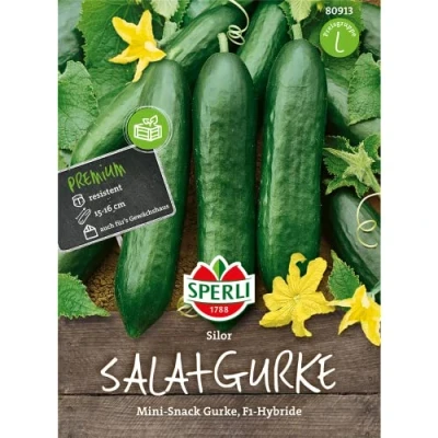 Abbildung von Sperli Snackgurkensamen Silor, F1 80913 saftige, bitterfreie Früchte, reinweiblich Inhalt für 4 Pflanzen Gemüsesamen, Samen Gemüse, Gemüsepflanzen