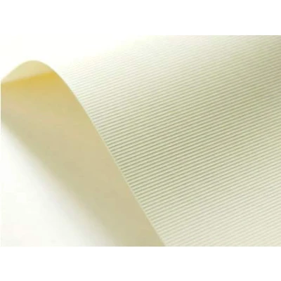 Abbildung von Netuno 20x Struktur Karton Creme gerippt DIN A4 21 x 29,7 cm 246g Elfenbeinkarton Chamois Bastel strukturiert für Visitenkarten Einladungs Karten Hochzeit Geburtstag Weihnachten