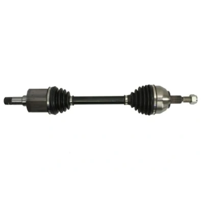Abbildung von Antriebswelle PASCAL G2G048PC
