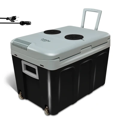Abbildung von Elektrische Tragbare Kühlbox 40L für Camping und Auto 12V/220V Camper briebe