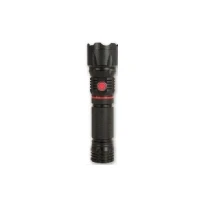 Abbildung von ARCAS 307 00036 Taschenlampen