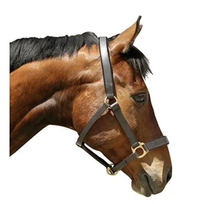 Abbildung von Kerbl Halfter Eco Leder Braun Warmblut