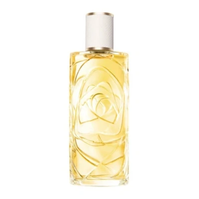 Abbildung von Lancôme Les Ô Zenith Eau De Toilette O Lancome Lc Odl Edt V100ml